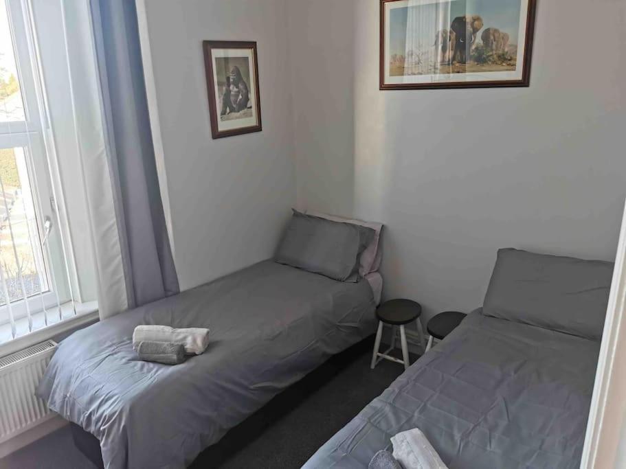 Number 7 Torquay Stunning Sea Views Διαμέρισμα Εξωτερικό φωτογραφία